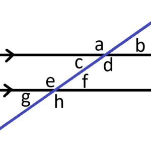 parallel lines